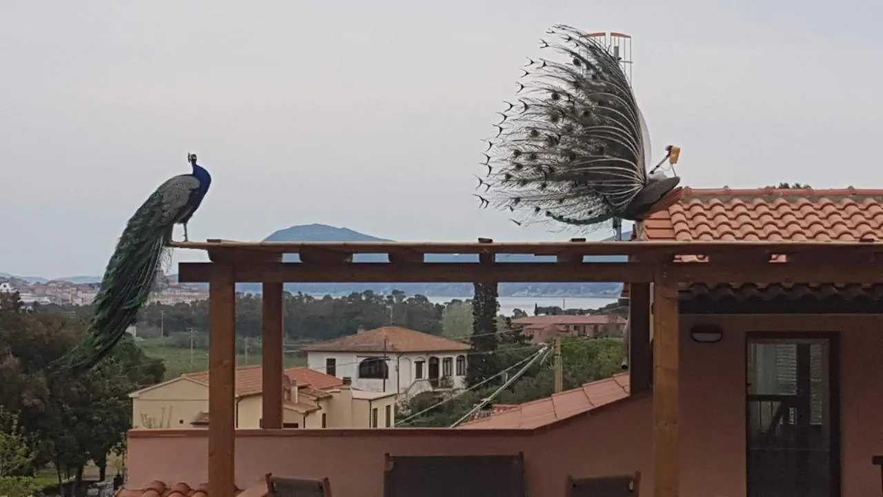 Appartamenti Casa Santi Portoferraio Apartment